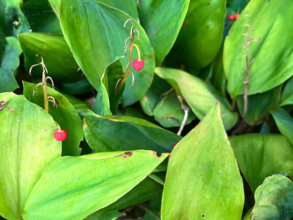 23-09-18 10-19-58 7017